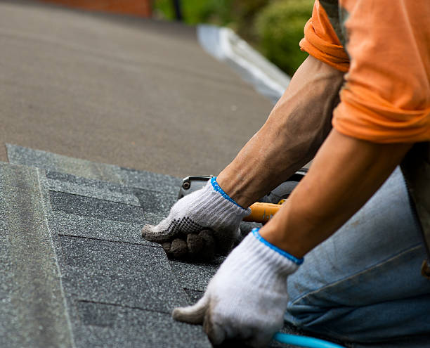 Best Roof Gutter Cleaning  in Jacksonville, TX